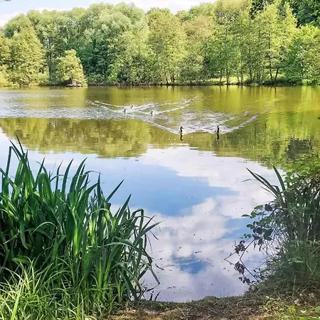 Exclusives In Im Sauerland, Cleaning Included Prázdninový dům